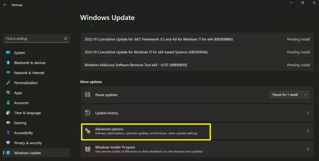 Windows 11 Sürücü Güncelleme: Optimal Performans İçin Sürücüleri Güncel Tutun 3 Advanced Options 1024x518 1